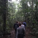 Hiking in the Amazon